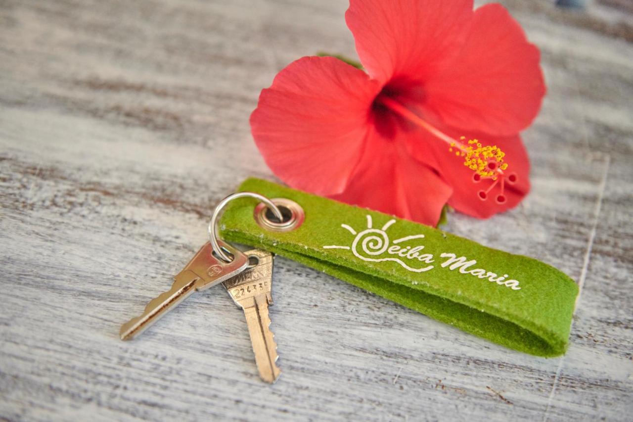 Casa Ceiba Maria Hotel Cala D´Or Kültér fotó