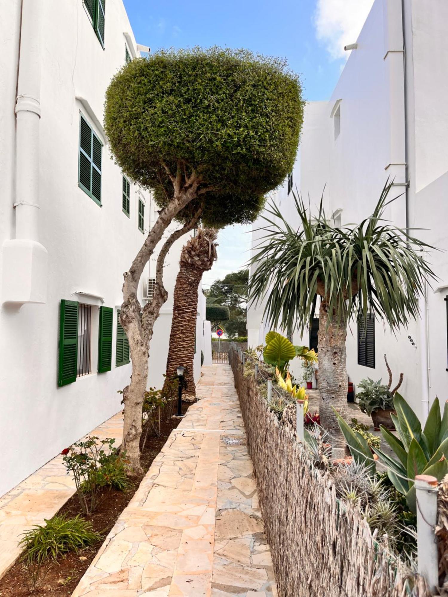 Casa Ceiba Maria Hotel Cala D´Or Kültér fotó