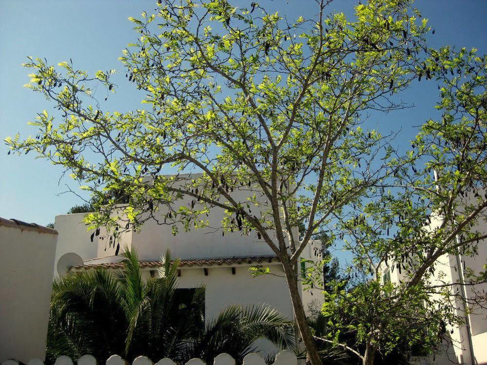 Casa Ceiba Maria Hotel Cala D´Or Kültér fotó